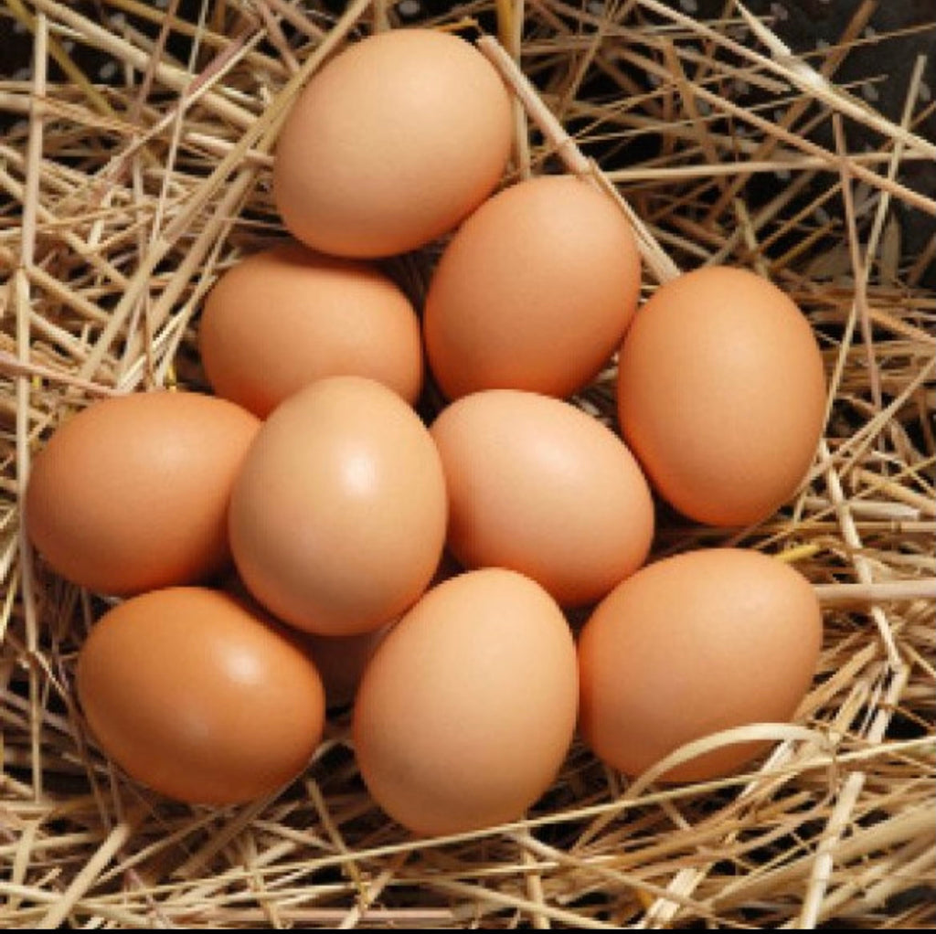 Farm-Fresh Brown Eggs - Local & Pasture-Raised